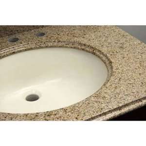   Granite Vanity Top in Golden Peach with Biscuit Bowl: Home Improvement