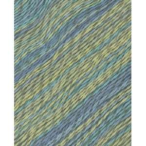  Berroco Linsey Colors Yarn 6506 Menemsha: Arts, Crafts 