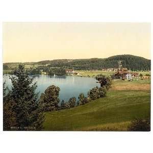  Photochrom Reprint of Titisee, general view, Black Forest 