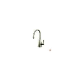   BN Contemporary Beverage Faucet w/ Aquifer Water: Home Improvement