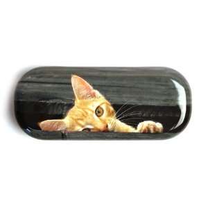  CAT PEEP SPECS CASE / Glasses Case by CATSEYE: Home 