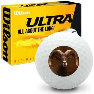  Bighorn Sheep   Wilson Ultra Ultimate Distance Golf Balls 
