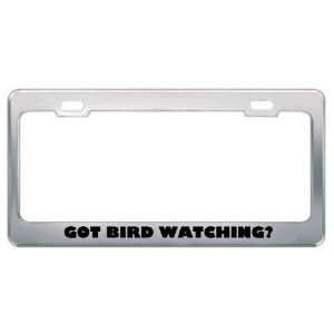  Got Bird Watching? Hobby Hobbies Metal License Plate Frame 