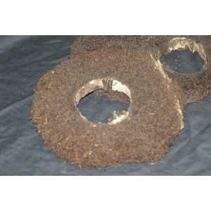 Tree Fern Rings for Mounting Orchids and Other Plants  