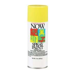  NOW SPRAY ENAMEL PAINT   21206