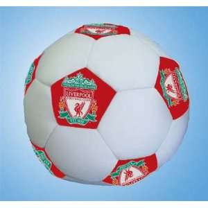  hidden Liverpool Football Soccer Cushion Sports 