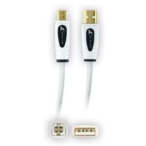  Ethereal EHT USB AB 4 USB A to USB B Cable (13.1 feet 