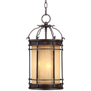  Park Place 16 1/2 High Outdoor Hanging Lantern: Home 