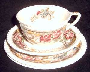 Johnson Brothers Devonshire Brown Cup Saucer & Plates  