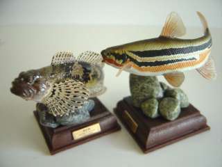 FRESH WATER FISH MINIATURE PVC CAPSULE MUSEUM TAXIDERMY REPLICA 