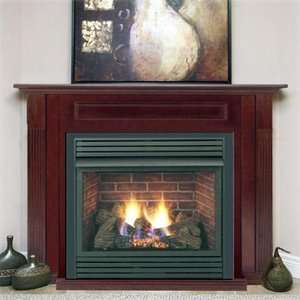   42 inch Propane Direct Vent Fireplace System With Millivolt Control
