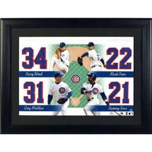  Chicago Cubs Team Unsigned Jersey Numbers Piece: Sports 