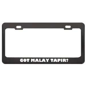 Got Malay Tapir? Animals Pets Black Metal License Plate Frame Holder 