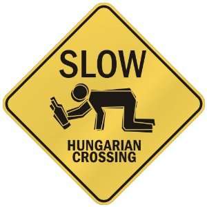   SLOW : HUNGARIAN CROSSING  HUNGARY: Home Improvement