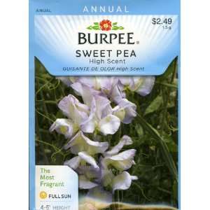  Burpee 37297 Sweet Pea High Scent Seed Packet: Patio, Lawn 
