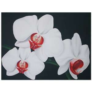  White Moon Orchid~Canvas~Repro~Paintings: Home & Kitchen