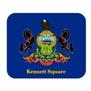  US State Flag   Kennett Square, Pennsylvania (PA) Mouse 