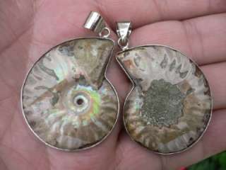 Pair Of Natural Ammonite Fossil Gemstone Pendant S3787  