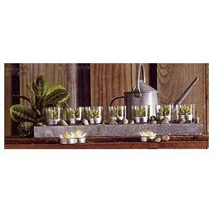  Roost Succulent Candle Garden