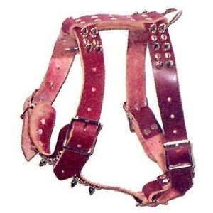   One Ply Latigo Harness, with spikes and studs   Small: Everything Else