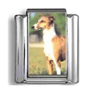  Italian Greyhound Dog Photo Italian Charm: Jewelry