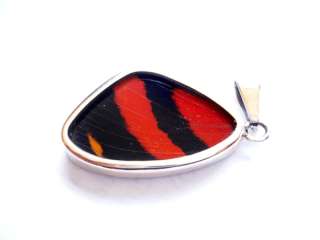   Butterfly Wing .950 Sterling Silver Necklace Callicore cynosura  