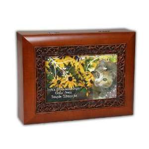  Music Box For Pet Cat Lovers Plays Wonderful World: Home & Kitchen