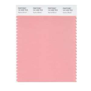  PANTONE SMART 14 1420X Color Swatch Card, Apricot Blush 