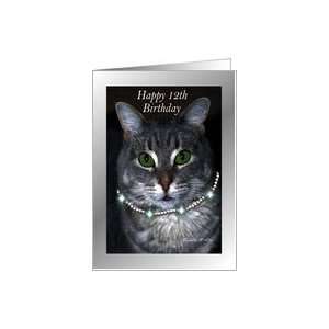  12th Happy Birthday ~ Spaz the Cat Card: Toys & Games