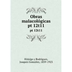   pt 12t11 Joaquin GonzÃ¡lez, 1839 1923 Hidalgo y RodrÃ­guez Books