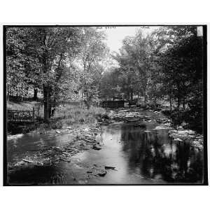  The Brook,Mt. Holyoke College,South Hadley,Mass.