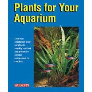  Plants For Your Aquarium