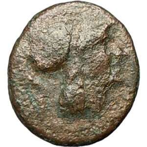   II GONATAS 277BC Genuine Ancient Greek Coin ATHENA WAR WISDOM PAN