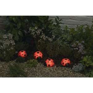  Solar Garden Light 4 Piece Set Ladybugs: Pet Supplies