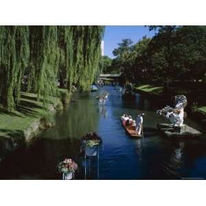 Punting on River Avon, Christchurch, Canterbury, South Island, New 