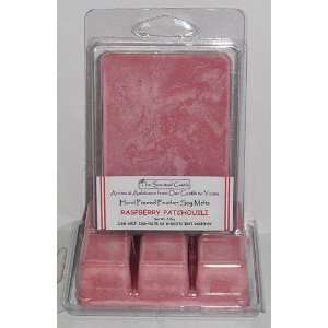    2 Pack Scented Soy Wax Melts Raspberry Patchouli: Everything Else