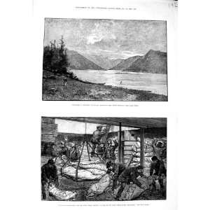  1881 BRITISH COLUMBIA RIVER SKEENA FROZEN MEAT MILLWALL 