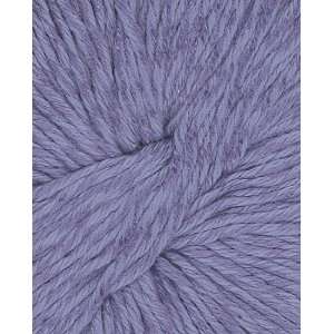   West Trading Company Terra Yarn 426 Spinel Arts, Crafts & Sewing
