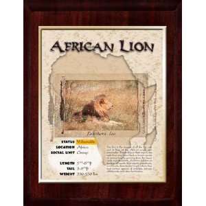 Africa (African Lion) Animal Planet Products 10 x 13 Plaque with 8 