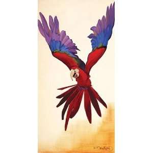 David Bromstad   Parrot Canvas