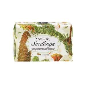  EVERGREEN SEEDLINGS FRENCH MILLED SOAP 6.6oz. Beauty