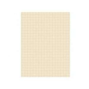  Pacon Ruled Cross Section Drawing Paper: Office Products