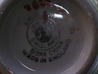 SALISBURY TEA CUP SAUCER ENGLAND ROSE FLORAL JON ROTH  
