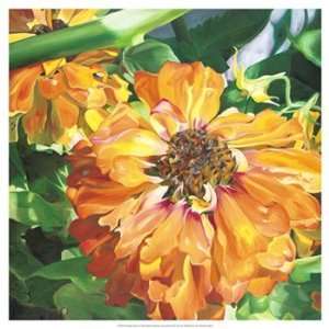 Fading Zinnia   Poster by Bethany Winslow (19x19) 
