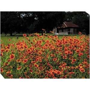   OU 73311 Old Homestead All Weather Outdoor Canvas Art