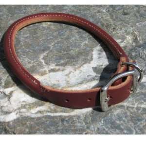  Circle T Leather Dog Collar Rolled Latigo 22 inch: Pet 
