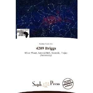  4209 Briggs (9786138884965) Noelene Aoide Books