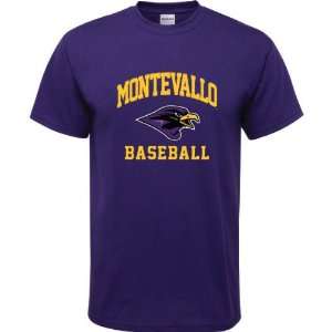  Montevallo Falcons Purple Youth Baseball Arch T Shirt 