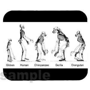  Hominids Mouse Pad 