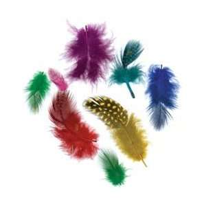  Zucker Feather Guinea Plumage Feathers .10 Ounces Assorted 